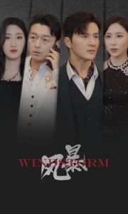 风暴（77集）-免费短剧