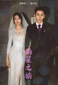 摘星之旅（88集）-免费短剧