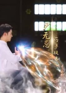 免费短剧：新傲世医仙（90集）-免费短剧