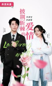 披荆斩棘的爱情（90集）-免费短剧