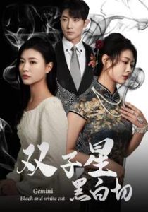 双子星黑白切（82集）-免费短剧