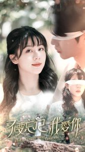 不要忘记我爱你（69集）-免费短剧