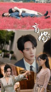 免费短剧：盲嫁（74集）陈冠峄&陆姝含-免费短剧