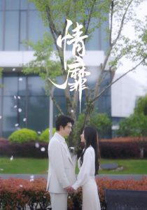 免费短剧：情靡（92集）王格格&申浩男-免费短剧