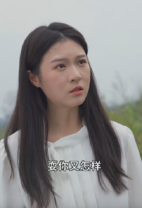 高手下山，退婚九个未婚妻（100集）-免费短剧