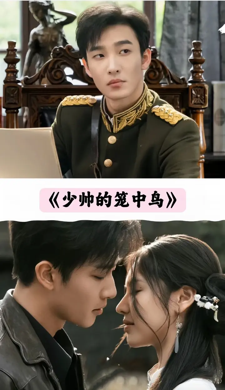 图片[21]-推荐25部民国短剧你最喜欢哪一部-免费短剧