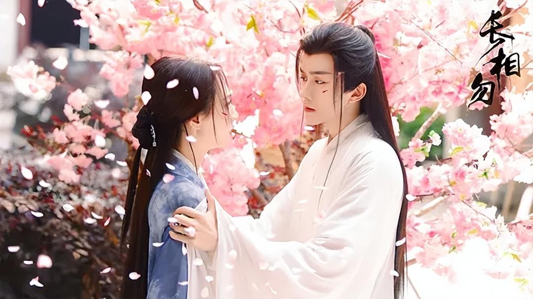 图片[15]-15部短剧等你观看，哪些短剧是你在追的，来看看有没有你看过的！-免费短剧