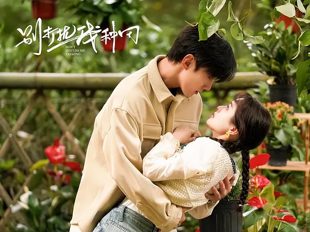 图片[17]-15部短剧等你观看，哪些短剧是你在追的，来看看有没有你看过的！-免费短剧