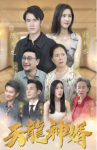 免费短剧：天龙神婿（80集）-免费短剧