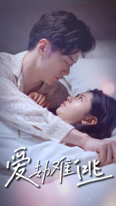 免费短剧：爱劫难逃（93集）-免费短剧