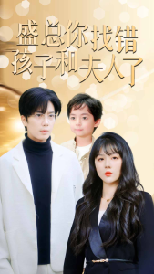 免费短剧：盛总你找错孩子和夫人了$真假萌宝爹地眼神不太好（82集）-免费短剧