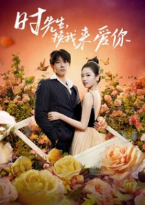免费短剧：时先生，换我来爱你（97集）-免费短剧