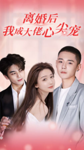 免费短剧：离婚后，我成大佬心尖宠（95集）-免费短剧