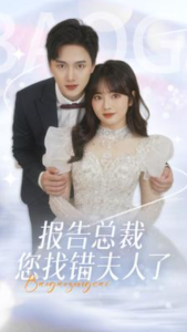 报告总裁您找错夫人了（93集）-免费短剧