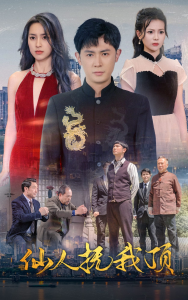 仙人抚我顶（80集）王昭-免费短剧