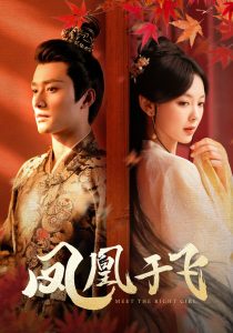 免费短剧资源：凤凰于飞（79集）-免费短剧