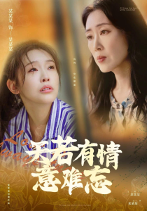 短剧资源：天若有情意难忘（60集）-免费短剧