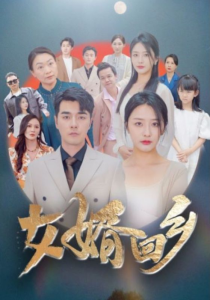 免费短剧资源：女婿回乡（120集）-免费短剧