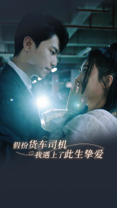 假扮货车司机我遇上了此生挚爱（20集）瓜瓜-免费短剧