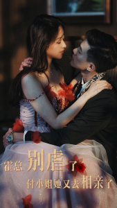 霍总别虐了付小姐她又去相亲了（68集）-免费短剧