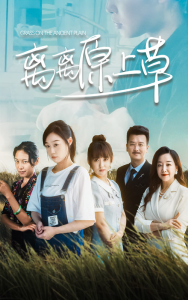 离离原上草(82集)孙蔚琳-免费短剧