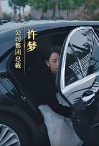 女老板的复仇(33集)-免费短剧