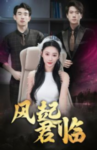 风起君临（83集）-免费短剧