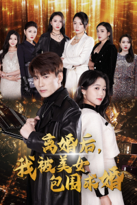 离婚后，我被美女包围求婚&离婚后，走上人生巅峰（100集）岳雨婷-免费短剧