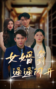 免费短剧：女婿驾到，通通闪开（34集）-免费短剧