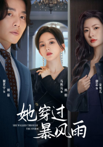 免费短剧：她穿过暴风雨（71集）马秋元-免费短剧