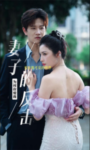 新版：妻子的反击（38集）-免费短剧