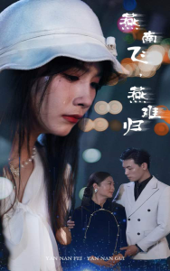 燕南飞，燕难归（31集）-免费短剧