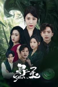寻玉（77集）-免费短剧