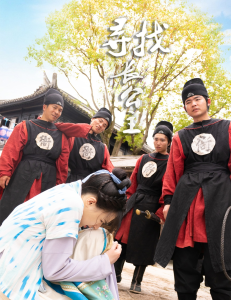 寻找长公主（66集）-免费短剧