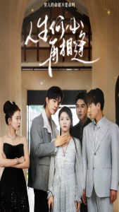 人生何必再相逢（80集）-免费短剧