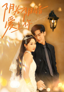 阴差阳错爱上你（62集）-免费短剧