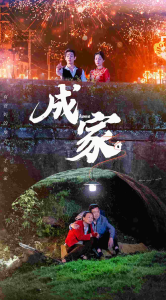成家（58集）-免费短剧