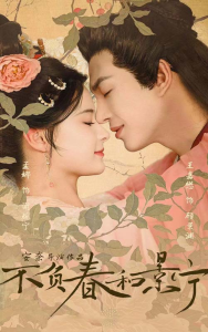 免费短剧资源：不负春和景宁（81集）孟娜-免费短剧