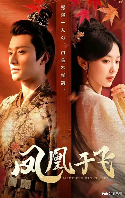 图片[25]-16部好看又上头的短剧，剧情紧凑，部部都精彩，你都看过吗?-免费短剧