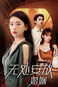 无处安放的婚姻（41集）王一晴-免费短剧