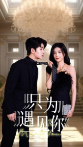 只为遇见你（88集）贾博雅-免费短剧