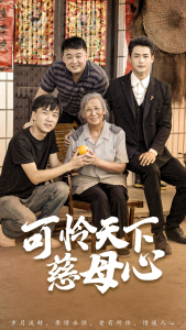 热门短剧：可怜天下慈母心$母望子归（74集）-免费短剧