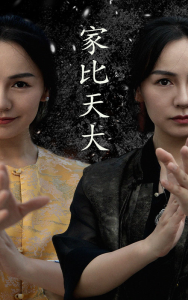 免费短剧 :家比天大（63集）-免费短剧