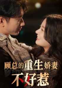 顾总的重生娇妻不好惹（60集）林初-免费短剧
