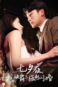 七夕夜我被霸总强制闪婚（77集）-免费短剧