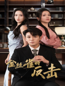 金丝雀的反击（33集）馨方-免费短剧