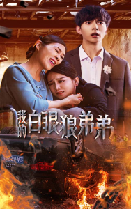 我的白眼狼弟弟（69集）-免费短剧