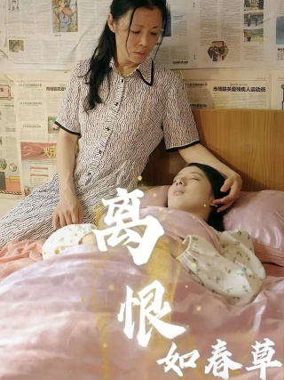 离恨如春草（60集）-免费短剧