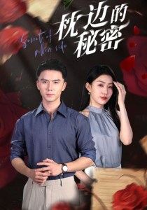 枕边的秘密（64集）-免费短剧