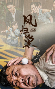 新版：凤归巢（68集）-免费短剧